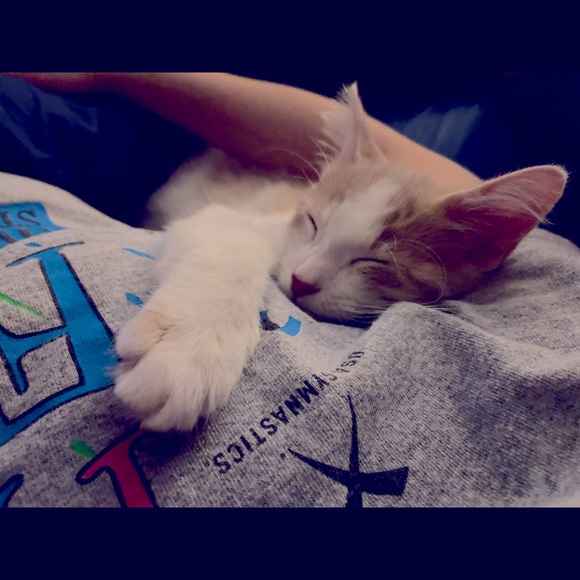 My Man Cat Niko! - Picture 11 of 11